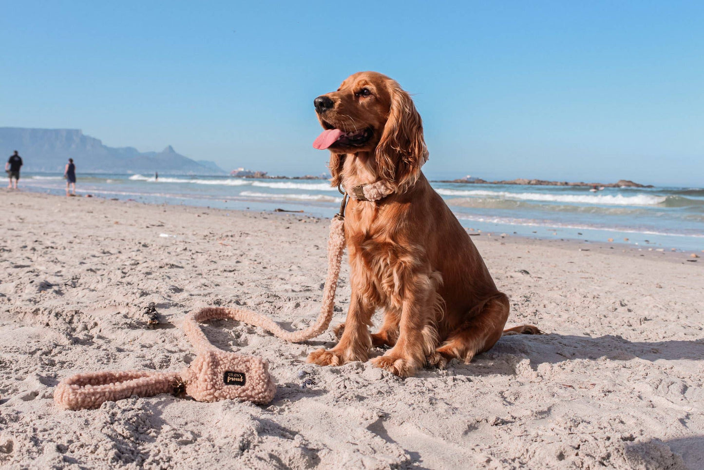 Halsband Teddy Brown: M