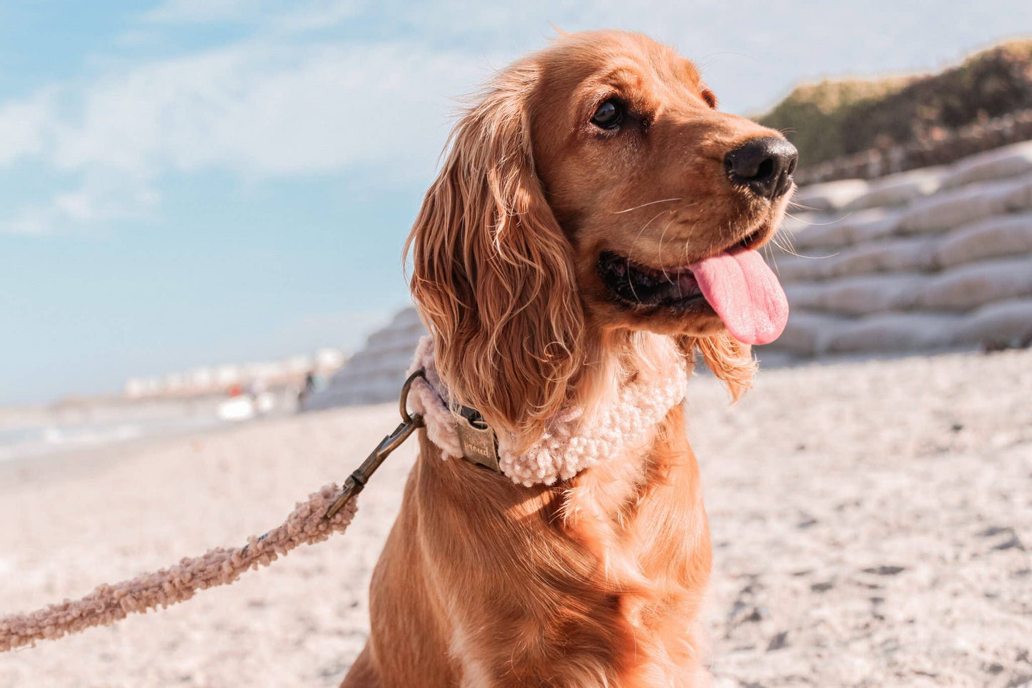 Halsband Teddy Brown: L