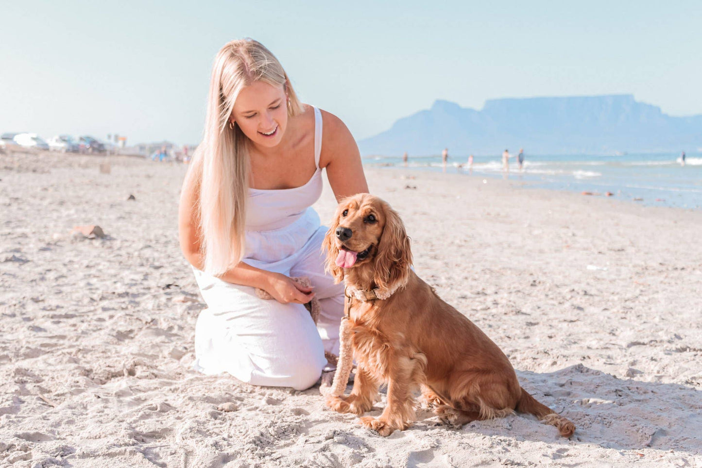 Halsband Teddy Brown: S