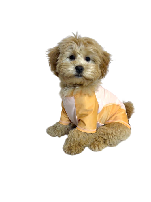 UV-werende hondenoutfit met pet 51 Degrees North