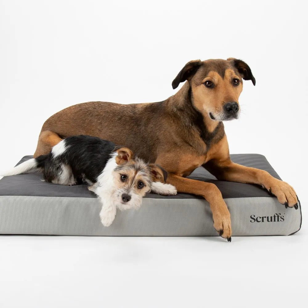 ArmourDillo Orthopedisch Hondenbed XL