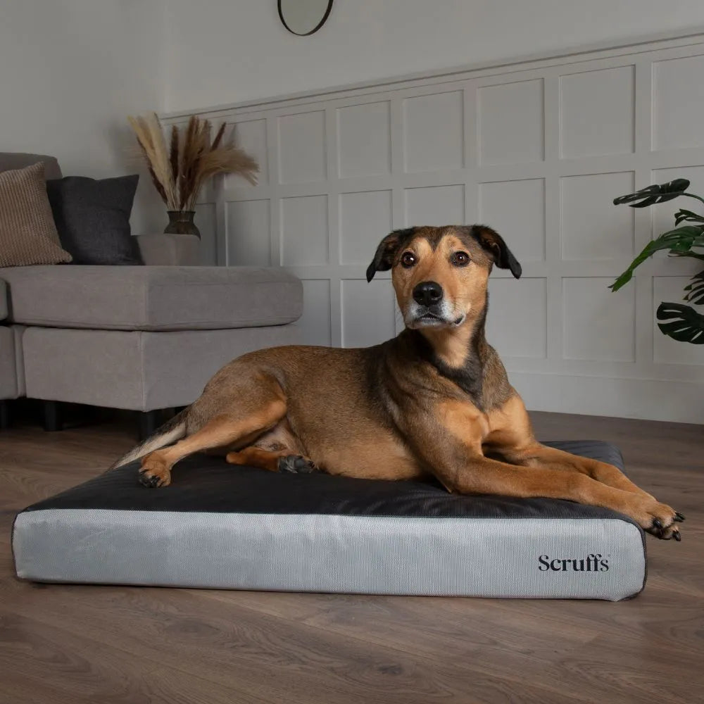ArmourDillo Orthopedisch Hondenbed XL