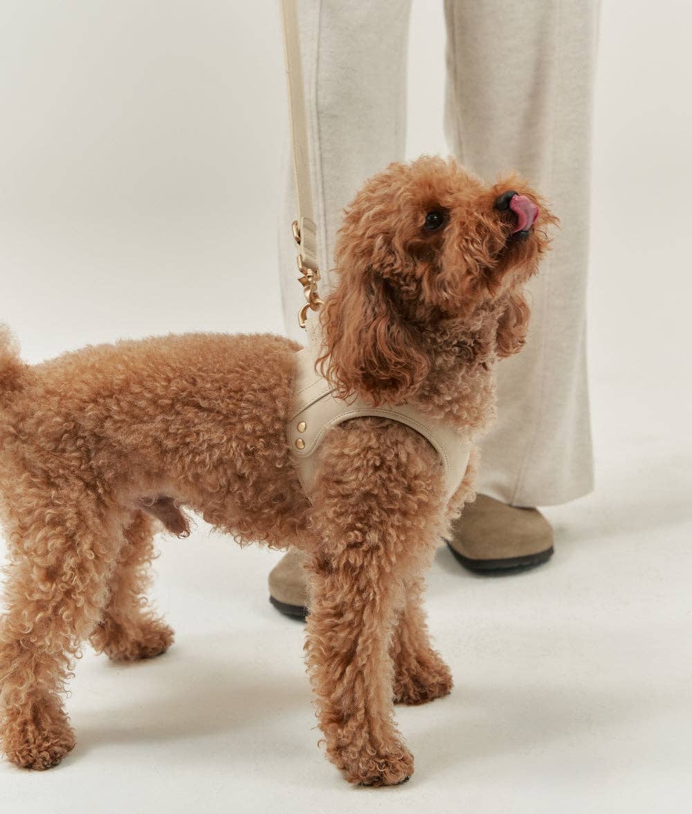 Beige Vegan Leren Harnas, Jala: XS