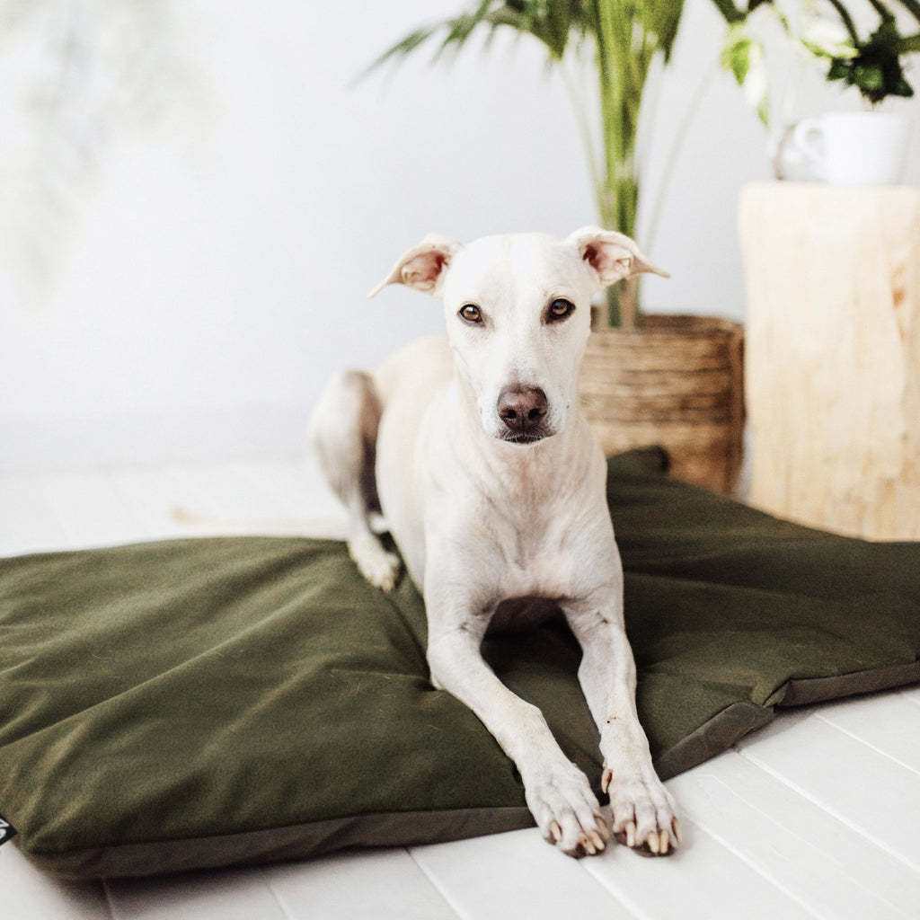 LODGE Benchmat Leger Groen L