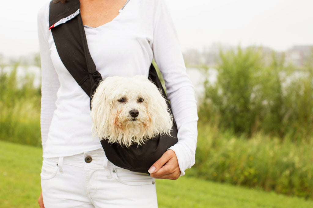 4LazyLegs Pocket Zwart S