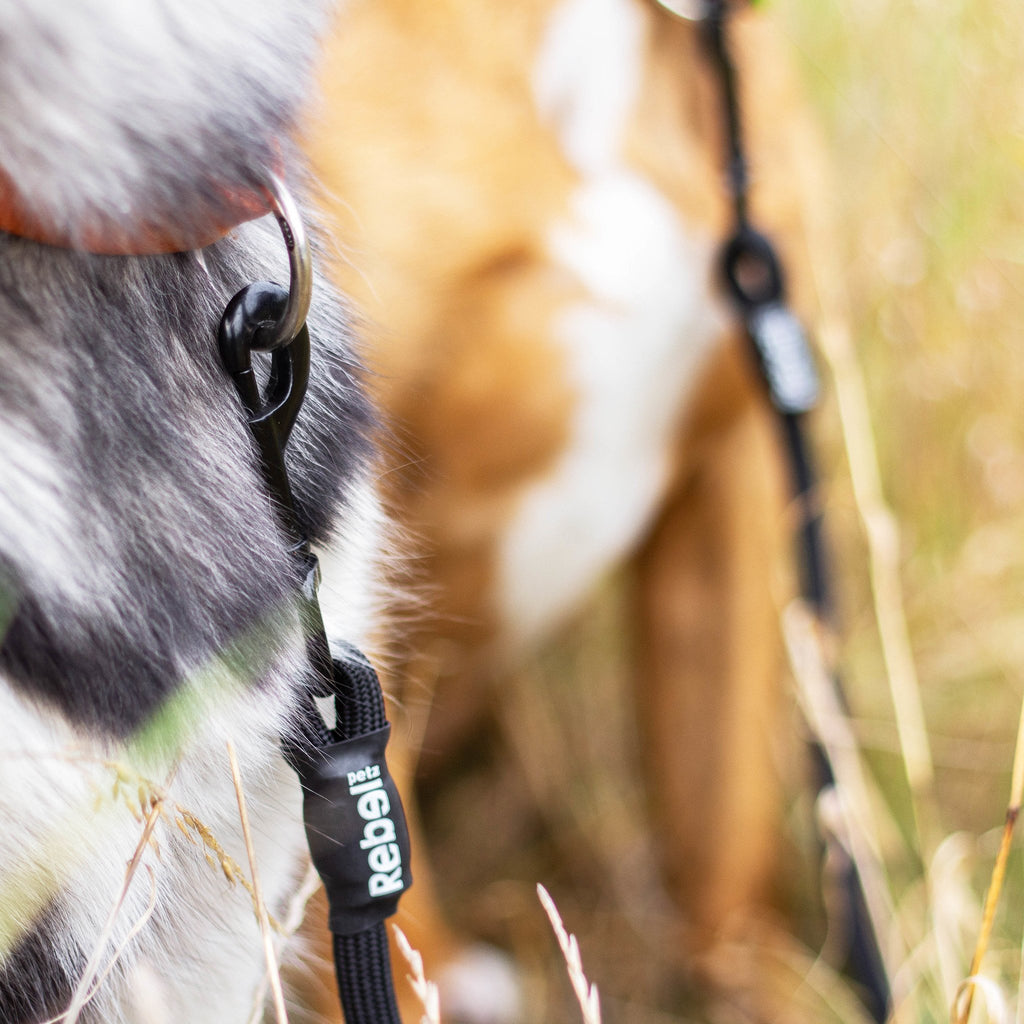 Adjustable Double Dog Leash - S