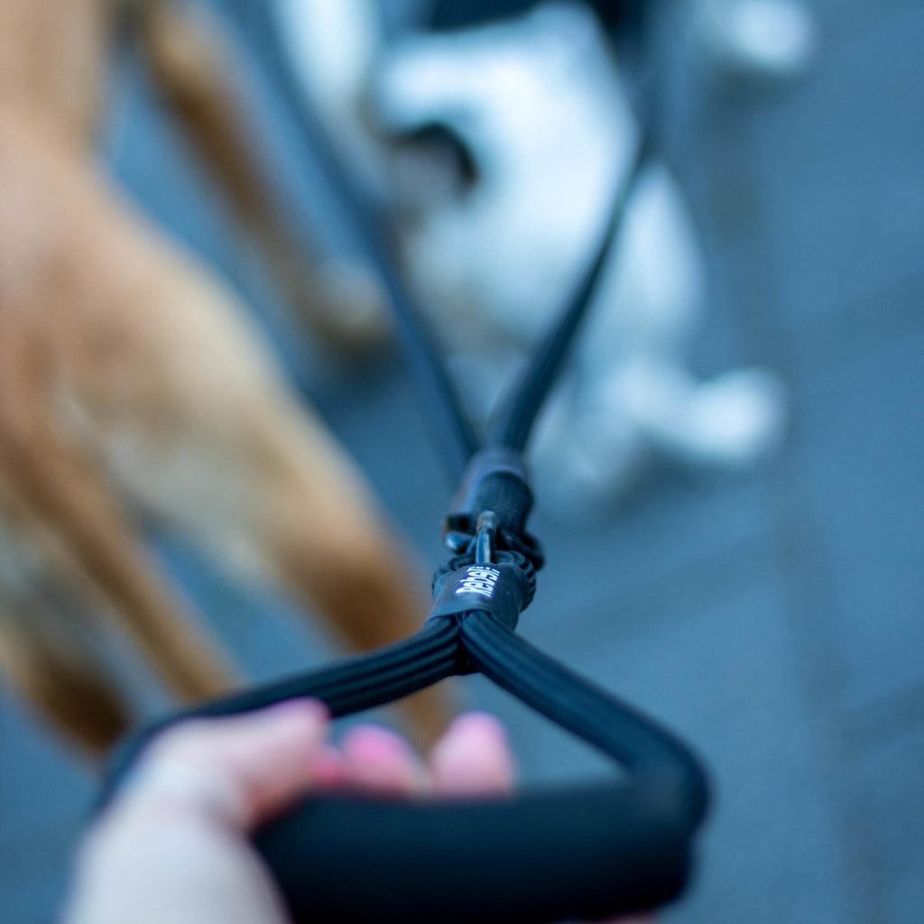 Adjustable Double Dog Leash - S