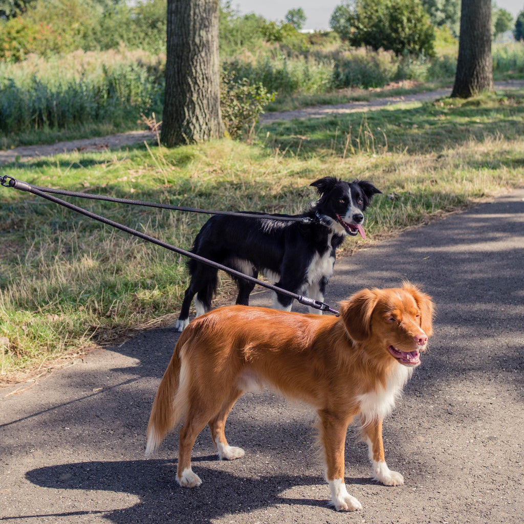 Adjustable Double Dog Leash - S