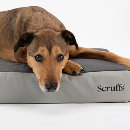 ArmourDillo Orthopedisch Hondenbed XL