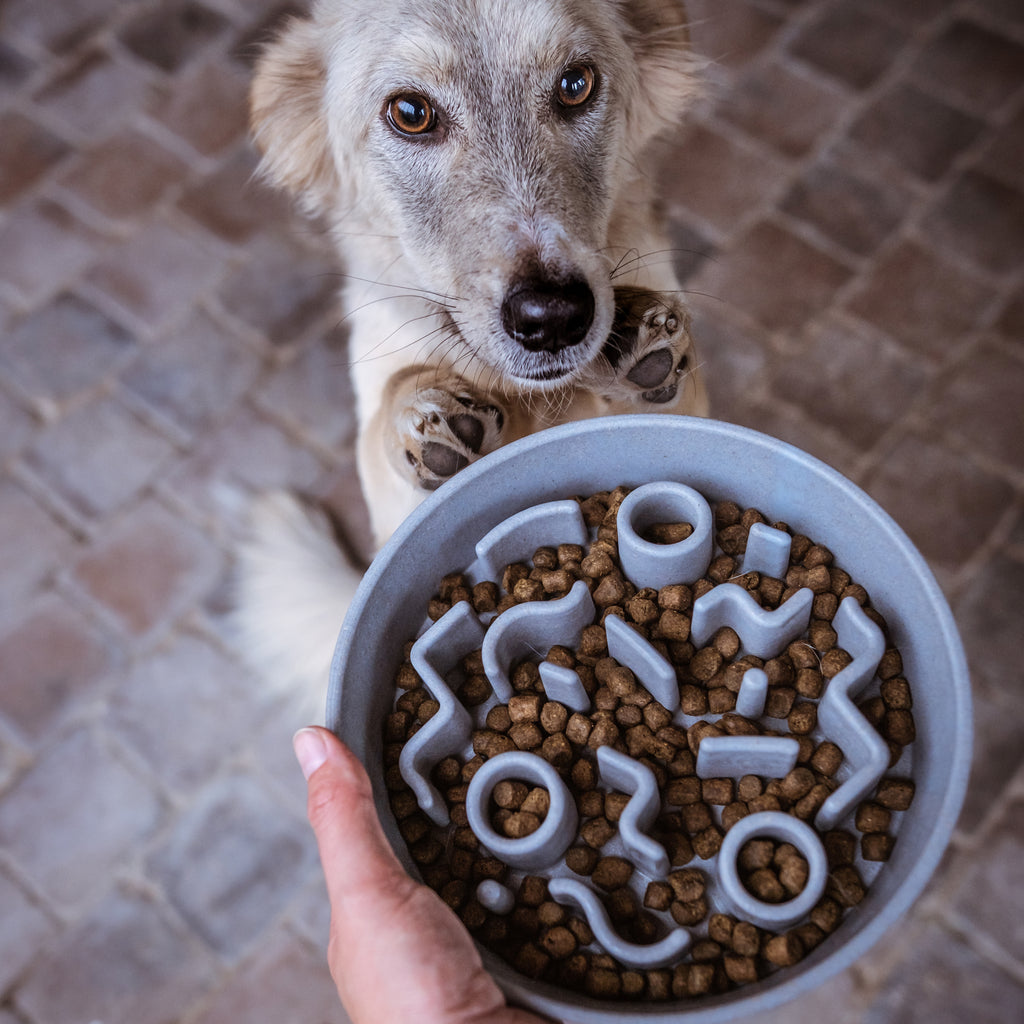BAMBOO Slow Feeder voor Honden Ice Blue - Ø28 cm