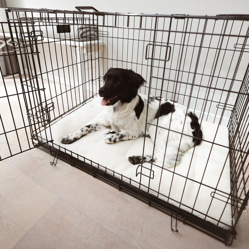 CRATE XL