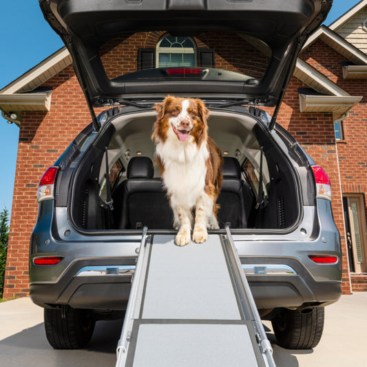 Happy Ride Deluxe Telescoping Ramp XL