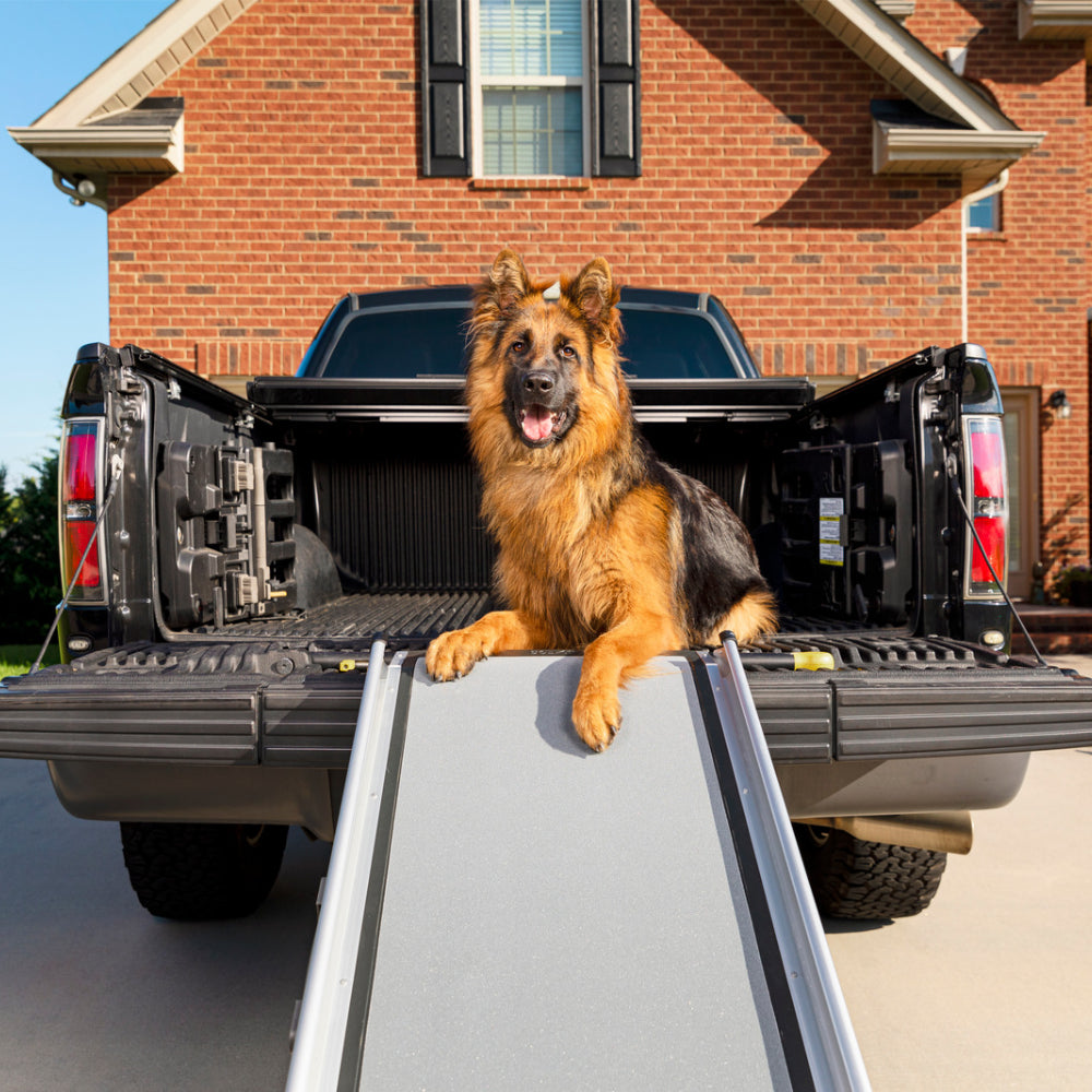 Happy Ride Deluxe Telescoping Ramp XL