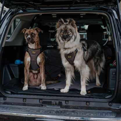 Kurgo - Impact Dog Car Harness L