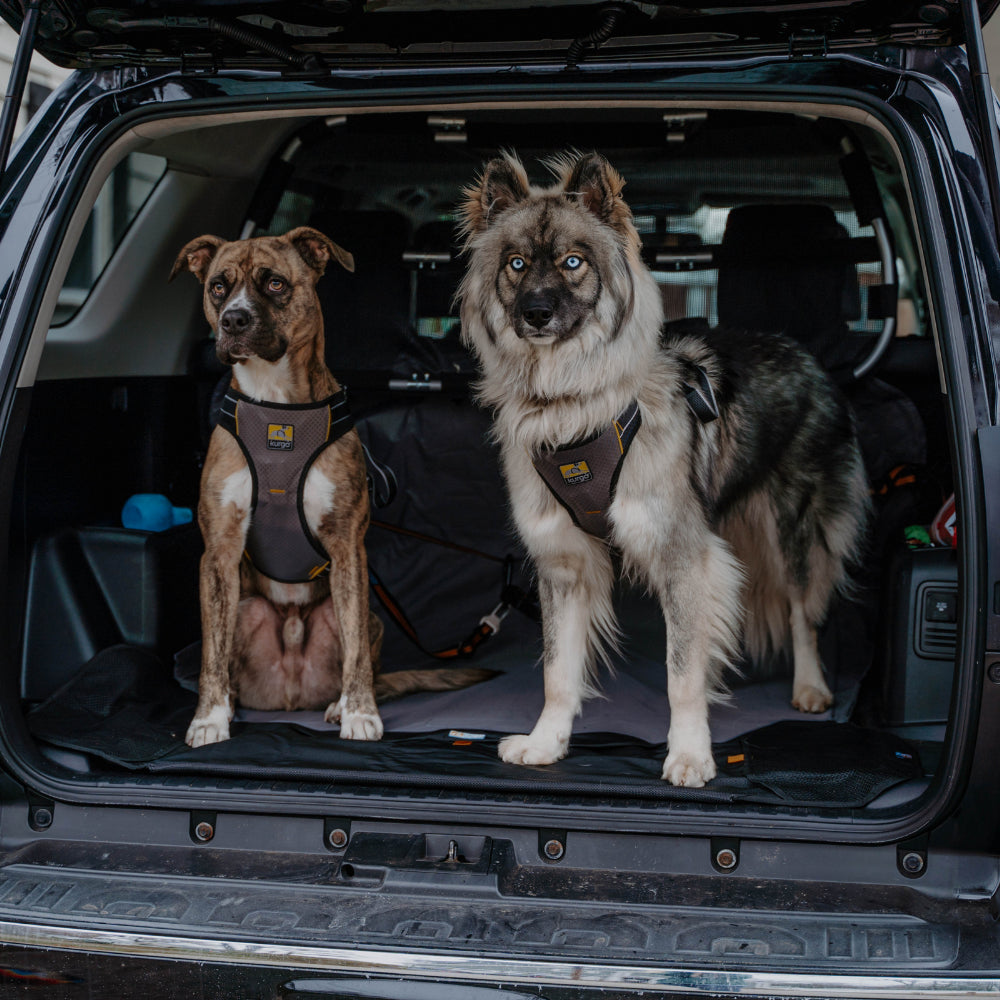 Kurgo - Impact Dog Car Harness S