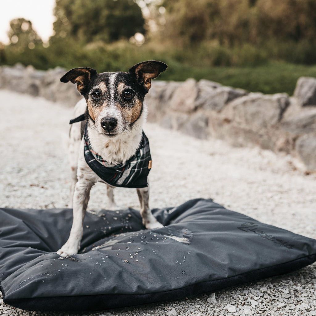 LODGE Benchmat Lichtgrijs XL