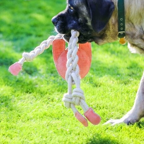 Rope Knotties™ - Konijn XL