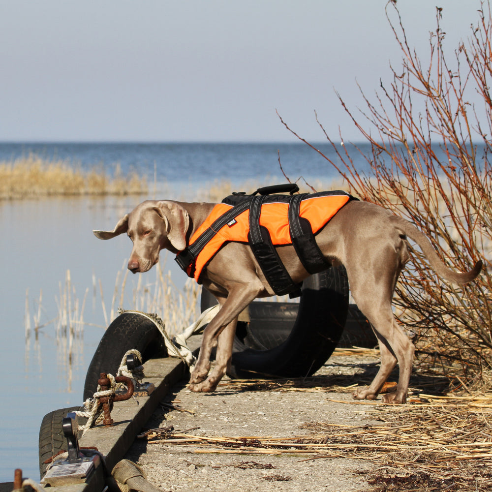 Safety Life Vest L
