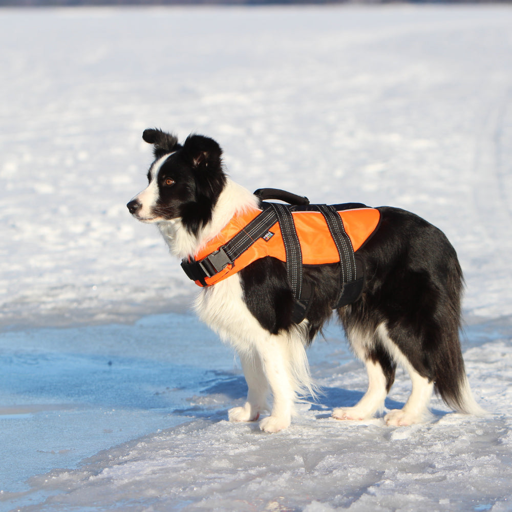 Safety Life Vest L