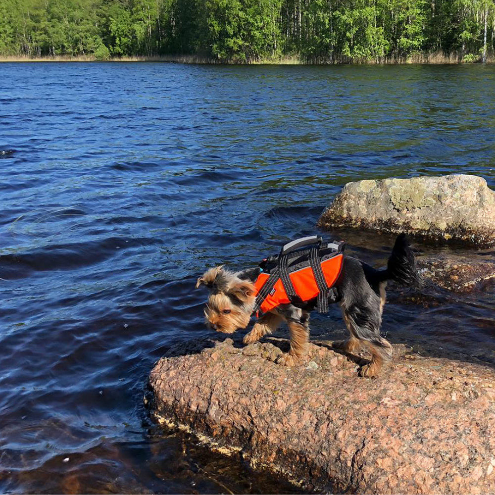 Safety Life Vest L