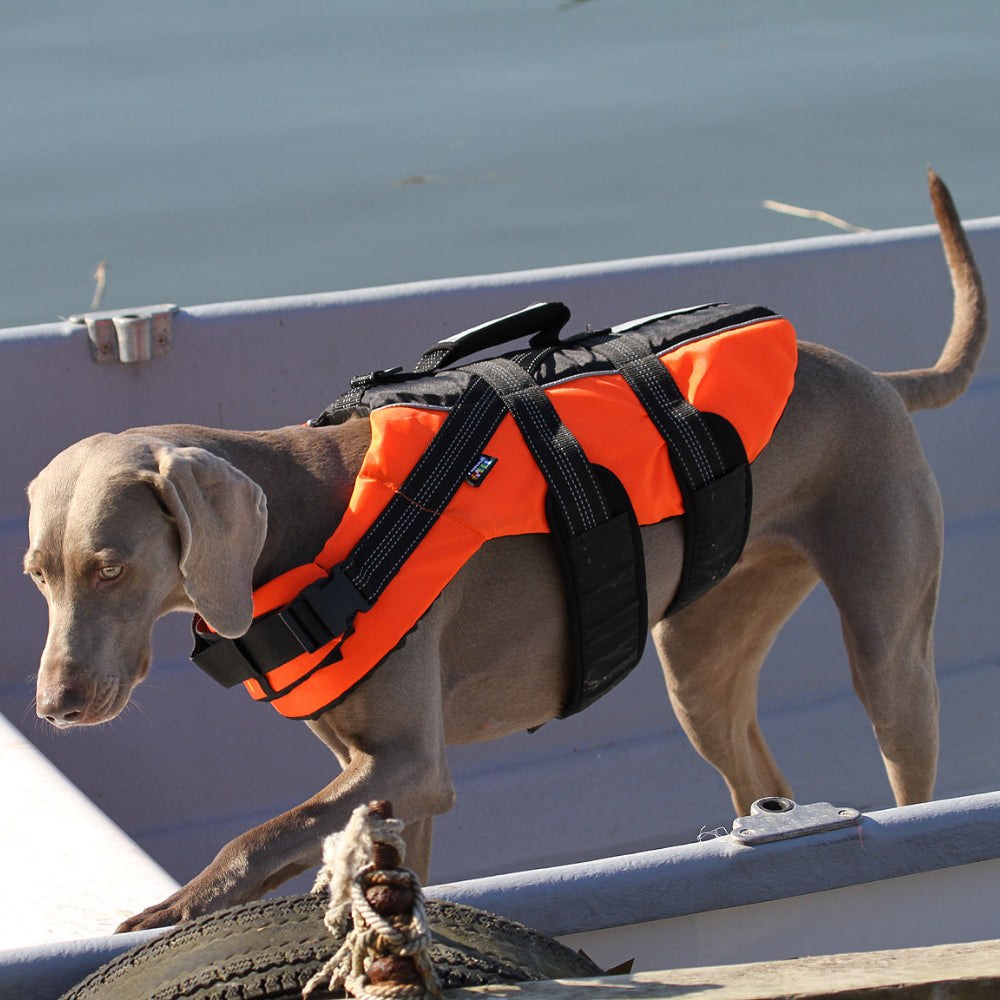 Safety Life Vest L